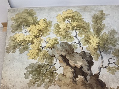 Lot 36 - English School, late 18th / early 19th century, Old wizened tree, 23 x 32cm, mounted but unframed