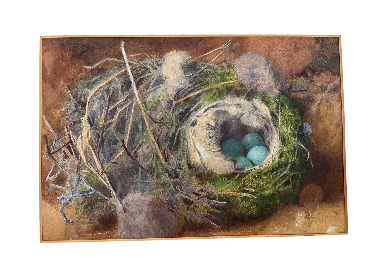 Lot 49 - Attributed to William Cruickshank (1848-1922), watercolour - Still life of birds nest, 15 x 23cm, mounted
