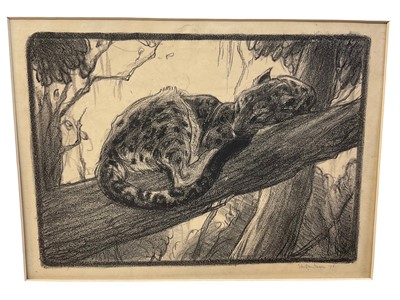 Lot 56 - Elsie Henderson (1880-1967) lithograph, Leopard in a tree, image 20 x 30cm, signed and dated 1916, mounted but unframed