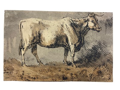 Lot 60 - 19th century English School, mixed media portrait of a steer, signed with initials, 8 x 13cm, mounted but unframed