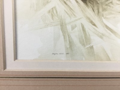 Lot 217 - Brian Reed (b. 1934) watercolour, Owlet in grass, signed and dated 1981, 29.5cm x 20cm, mounted in glazed gilt frame