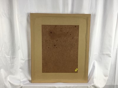 Lot 217 - Brian Reed (b. 1934) watercolour, Owlet in grass, signed and dated 1981, 29.5cm x 20cm, mounted in glazed gilt frame