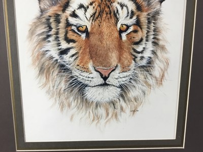 Lot 792 - Limited edition print of Horned Owls, a Cyril Laubscher Barn Owl and a framed watercolour of a Tiger’s Head
