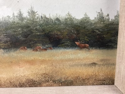 Lot 56 - T Lukkien, pair of oils, Pigeon in flight and Deer near woodland, signed, both15cm x 20cm in gilt frame