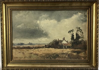 Lot 57 - Peter L. Oliver (1927-2006) pair of oils, On Somerset Marsh and May Fly Time, signed, 24cm x 36.5cm, framed