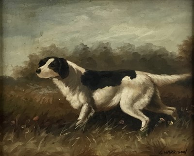 Lot 210 - Charles Harrison, mid 20th century, oil on board, brown and white pointer dog in a landscape signed, in gilt frame. 19 x 24cm