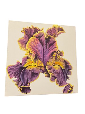 Lot 258 - Anne Mullord (contemporary) oil on canvas - Striped iris