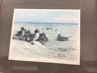 Lot 272 - Archibald Thorburn (1860-1935) signed coloured print - Pintails, published 1922