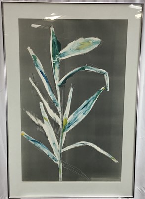 Lot 138 - Chloe Cheese, three signed monoprints - Lily, 87cm x 55cm, Iris 85cm x 53cm and Japanese Anenomes, 81cm x 56cm in glazed frames (3)