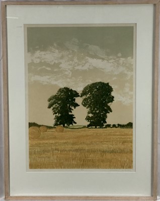 Lot 135 - Michael Carlo - two signed limited edition prints, Two Trees, 8/75, dated 1984, 55.5cm x 40.5cm and The River I, H.C. 4/4, 50cm x 35cm in glazed frames (2)