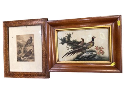 Lot 655 - Coloured prints of course fishing catches, framed and glazed, plus relief picture of fish, framed and game birds prints, framed (5)