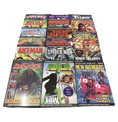 Lot 78 - Sixteen Panini Comics: Marvel Select Graphic Novels