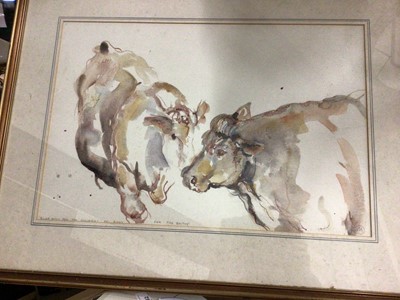 Lot 533 - Watercolour of two cows - 'Is love only for the cowards or only for the brave' - framed and glazed, 55cm x 37cm