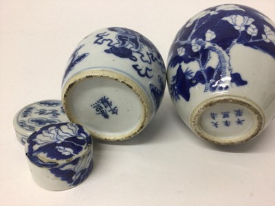 Lot 3 - Two 19th century Chinese blue and white ginger jars and covers, one decorated with foo dogs and the other with prunus blossom and other foliage, 9.5cm and 14.5cm high