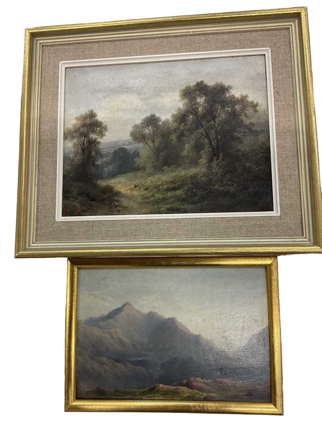 Lot 157 - 19th century oil on panel, extensive landscape, 14 x 19cm, and an oil on canvas landscape, both framed