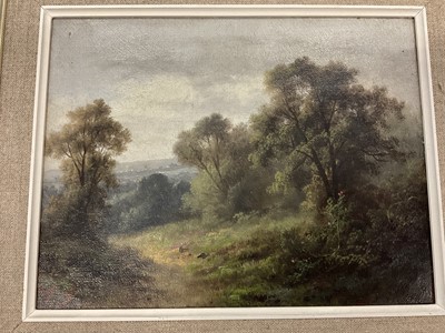 Lot 157 - 19th century oil on panel, extensive landscape, 14 x 19cm, and an oil on canvas landscape, both framed