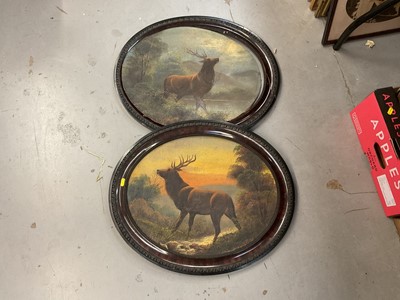 Lot 440 - Pair of late 19th century/early 20th century oil paintings of stags, in oval frames