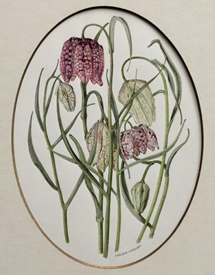 Lot 2 - Helga Hislop (1941-2023) two botanical watercolours - Fritillaries, signed, 19cm x 14cm, with oval mount, and Harebells, signed, 15cm x 20cm, unframed (2)