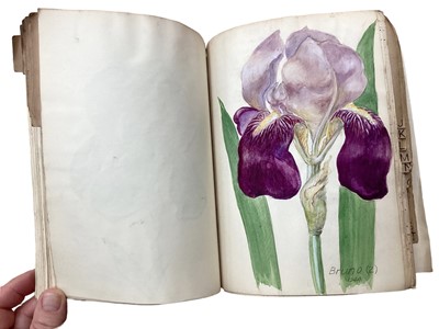 Lot 1425 - Folio of plant related drawings and notes