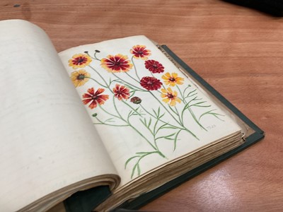 Lot 1425 - Folio of plant related drawings and notes