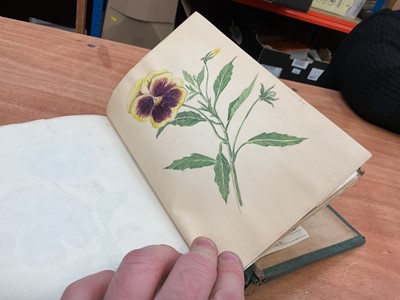 Lot 1425 - Folio of plant related drawings and notes