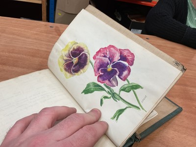 Lot 1425 - Folio of plant related drawings and notes