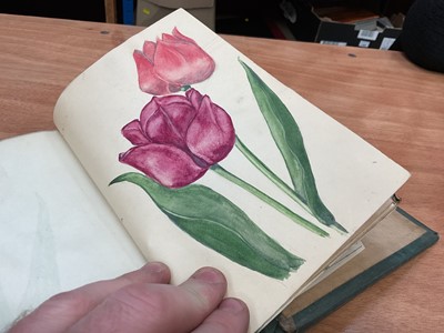 Lot 1425 - Folio of plant related drawings and notes