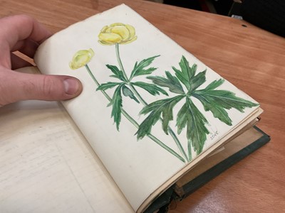 Lot 1425 - Folio of plant related drawings and notes