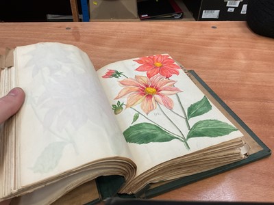 Lot 1425 - Folio of plant related drawings and notes