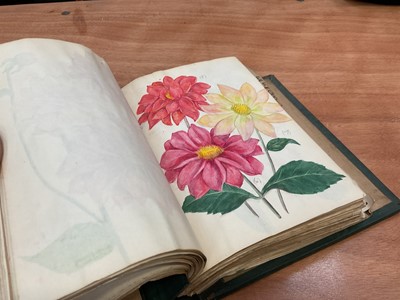 Lot 1425 - Folio of plant related drawings and notes