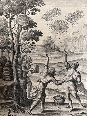 Lot 176 - Wenceslaus Hollar (1607-1677) three 17th century engravings - Swarming of the bees and two others, each 26 x 20cm, stuck down