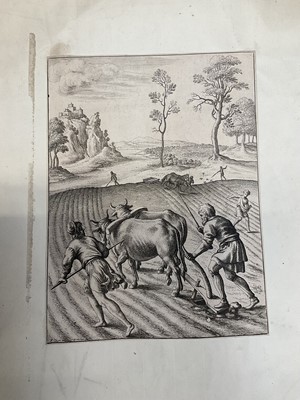 Lot 176 - Wenceslaus Hollar (1607-1677) three 17th century engravings - Swarming of the bees and two others, each 26 x 20cm, stuck down