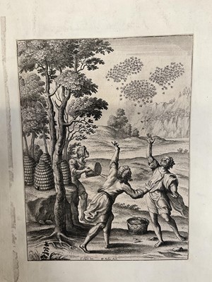 Lot 176 - Wenceslaus Hollar (1607-1677) three 17th century engravings - Swarming of the bees and two others, each 26 x 20cm, stuck down