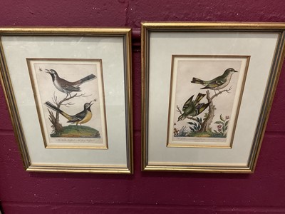 Lot 221 - George Edwards, pair of 18th century hand coloured engravings of birds