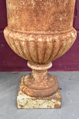 Lot 1277 - Pair of Victorian campana cast iron garden urns