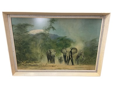 Lot 196 - David shepherd photographic print, Elephants, signed in pencil, 50 x 73cm, glazed frame