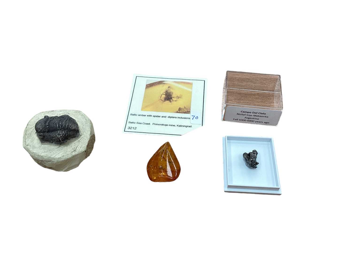 Lot 2597 - Preserved bug in amber, meteor fragment and fossilised trilobite (3)