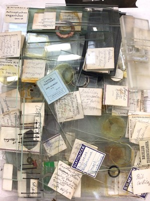 Lot 376 - Collection of Victorian and later microscope slides