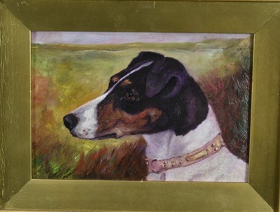 Lot 1090 - English School (c1900) pair of oils on board - Studies of Terriers, 16cm x 23cm, in original gilt frames (2)