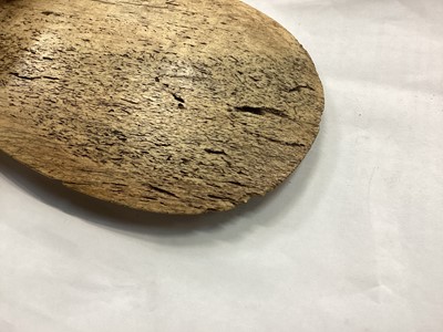 Lot 947 - Māori whale bone club (patu parāoa)