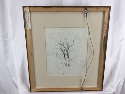 Lot 26 - Benjamin Williams Leader (1831-1923) pencil drawings - Berry Church Amberly, 1893, a pencil tree study verso, in double sided glazed frame, 22cm x 28cm