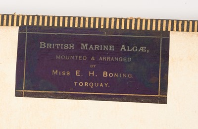 Lot 1707 - Large Victorian specimen album titled British Marine Algae, with titled specimens, 33 x 28cm