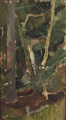 Lot 60 - Edwin Smith (1912-1971) oil on board - Waterfall in a wood