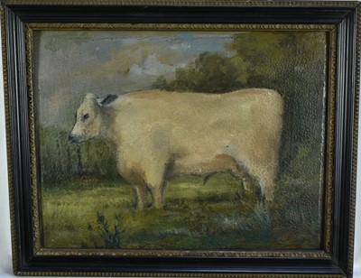 Lot 1200 - English School, oil on panel - Portrait of a Bull, 24cm x 32cm, in Hogarth frame