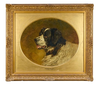 Lot 1215 - Charles Grey (1808-1892) oil on canvas - Portrait of a St. Bernard, signed, 48.5cm x 59cm, oval, in glazed gilt frame