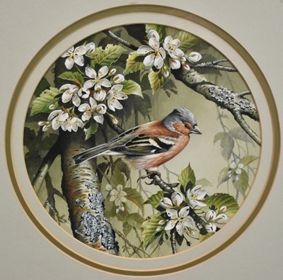 Lot 291 - Terence James Bond (1946-2023) pair of watercolours - Kingfisher and Chaffinch, signed, 25.5cm tondo, in glazed frames