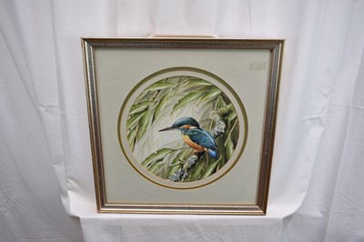 Lot 1263 - Terence James Bond (1946-2023) pair of watercolours - Kingfisher and Chaffinch, signed, 25.5cm tondo, in glazed frames