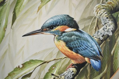 Lot 1263 - Terence James Bond (1946-2023) pair of watercolours - Kingfisher and Chaffinch, signed, 25.5cm tondo, in glazed frames