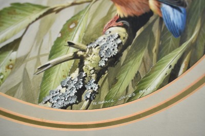 Lot 1263 - Terence James Bond (1946-2023) pair of watercolours - Kingfisher and Chaffinch, signed, 25.5cm tondo, in glazed frames