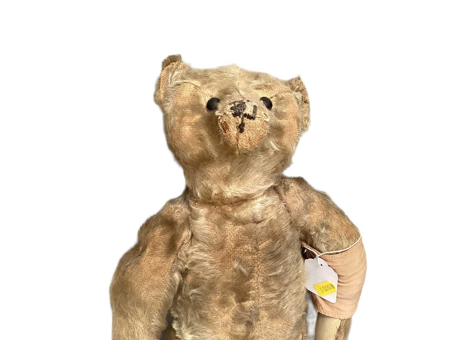 Lot 1918 - Early Steif teddy bear, boot button eyes, small hump, shaved snout, four stitched claws,button in ear.42 cms.